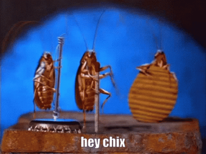 This is what Admiral "Amazing Grace" Hopper saw when she recorded the first 'bug' in computer history.